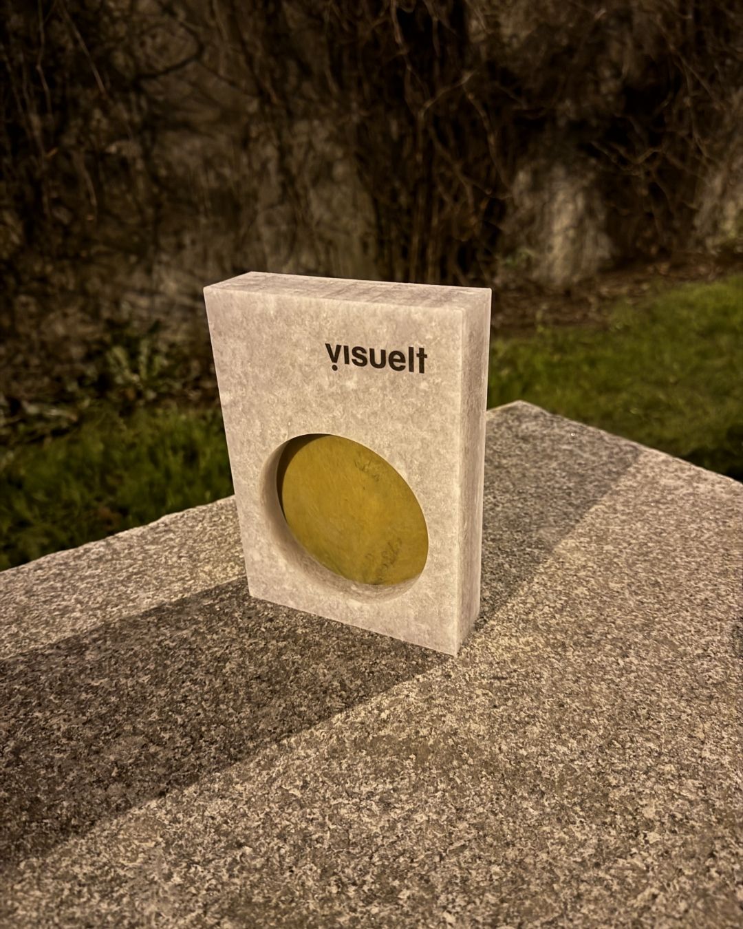 Visuelt award