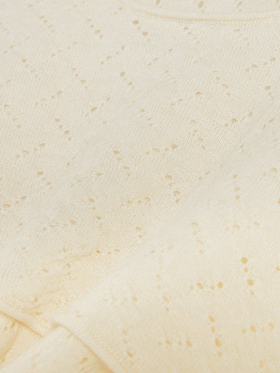 Honey Merino Turtle