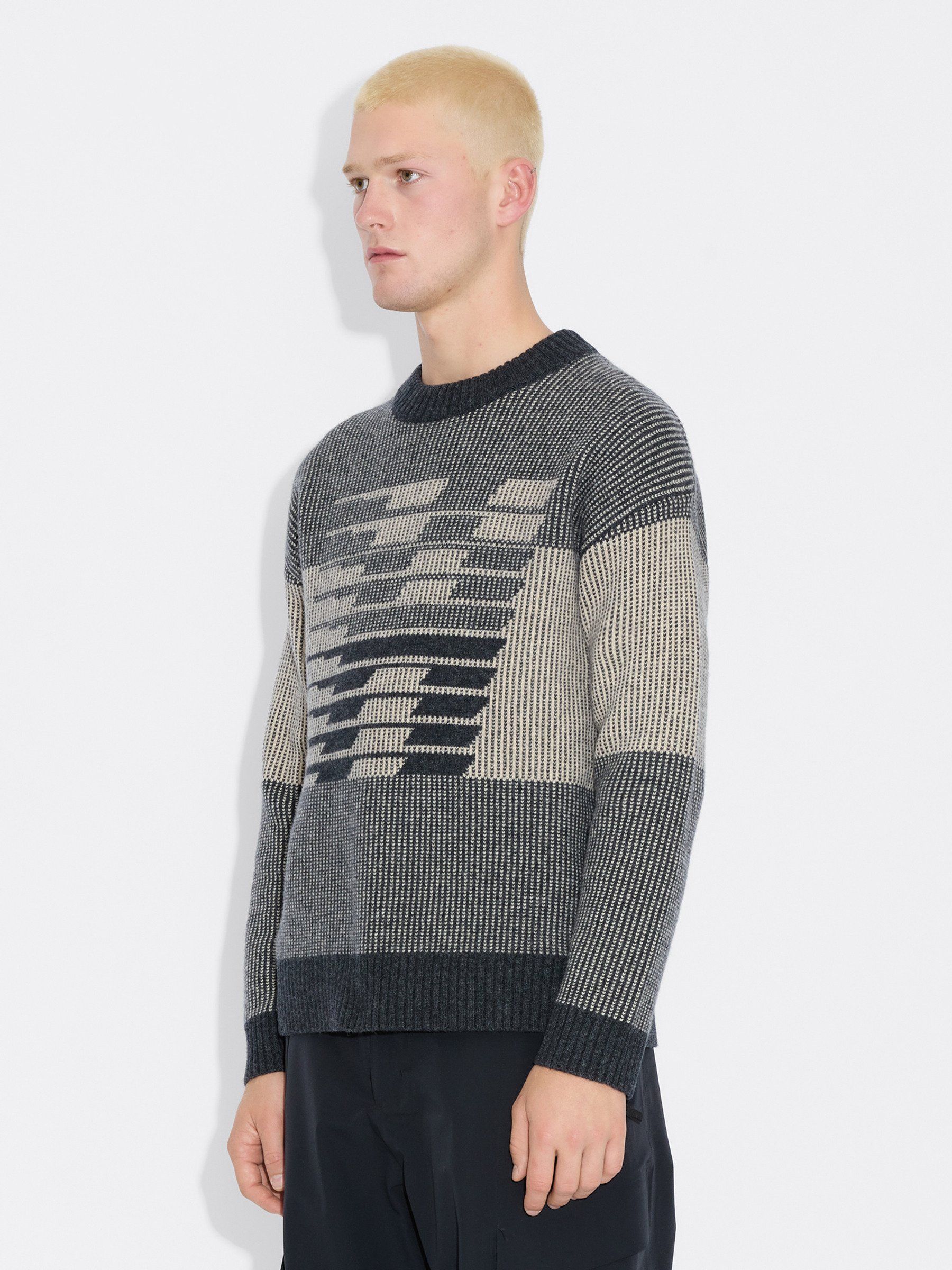Ski Logo Crew