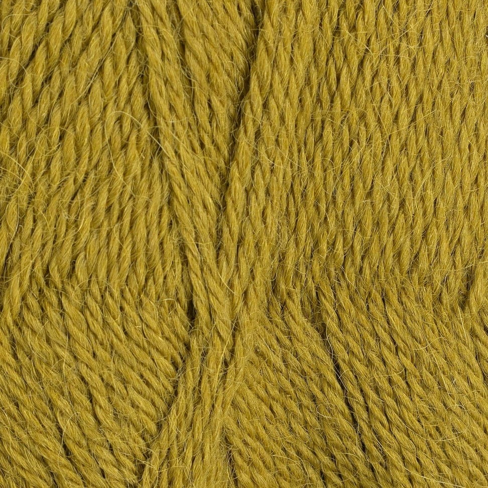 Inca